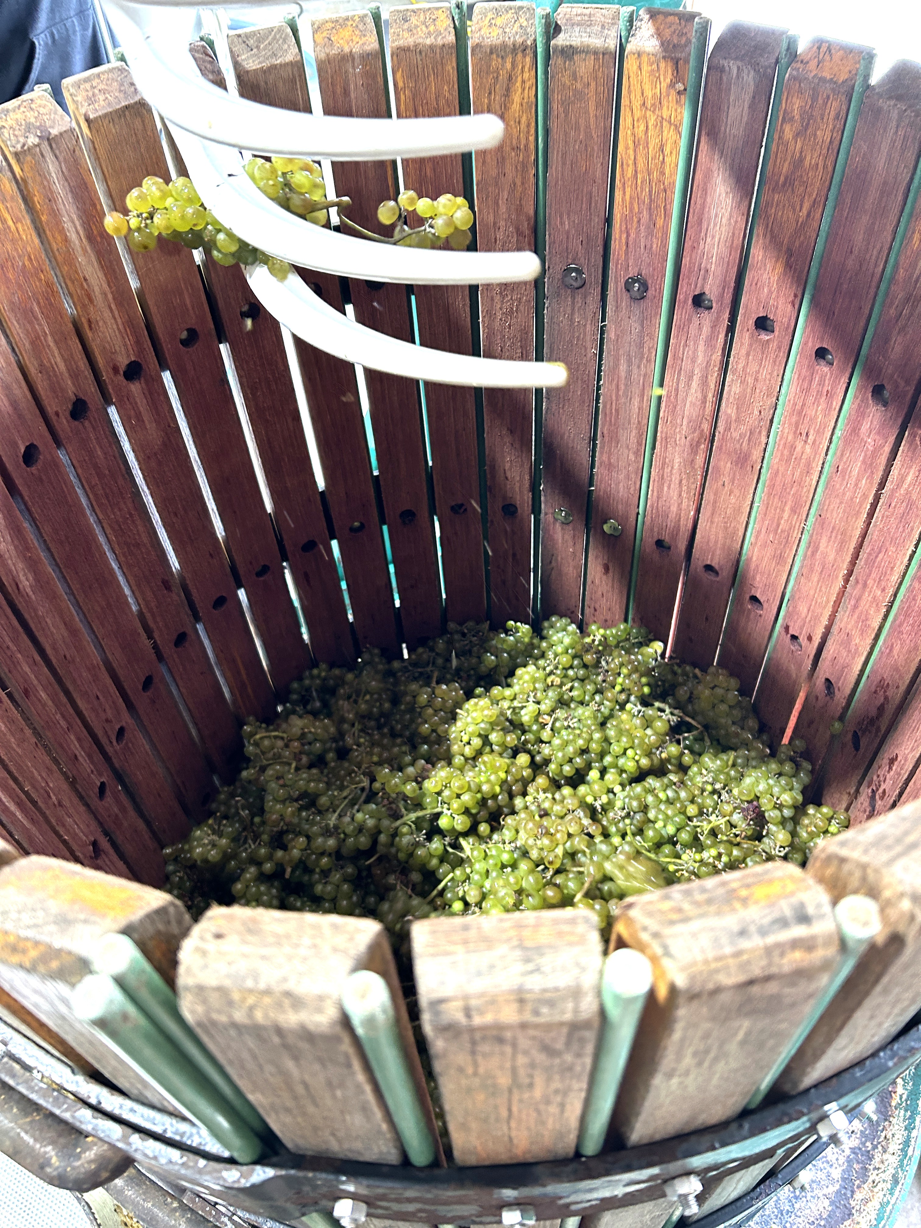 Harvest Picture