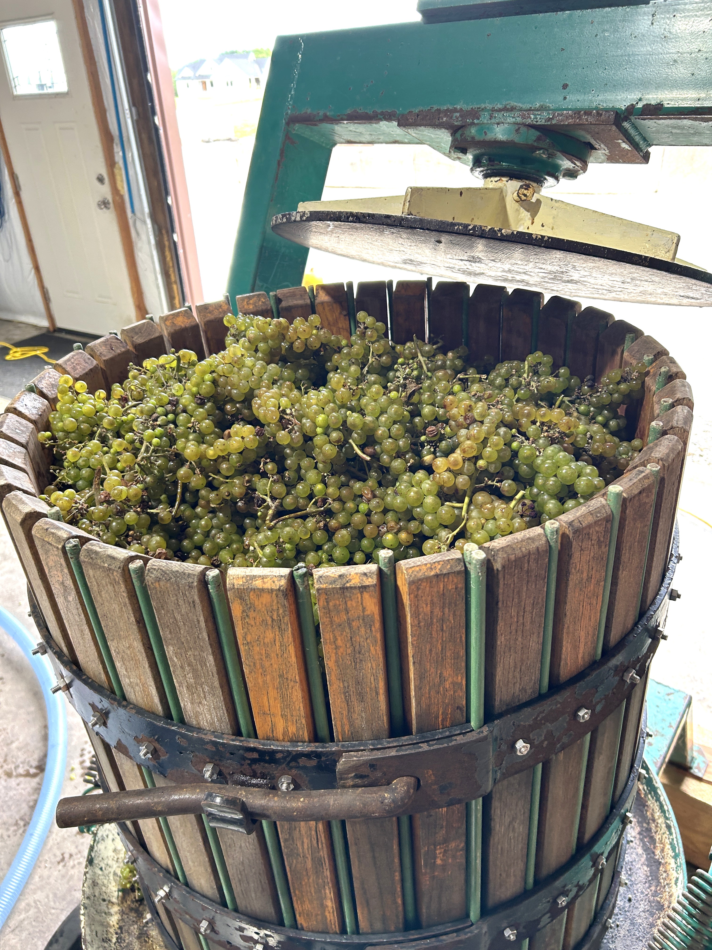 Harvest Picture