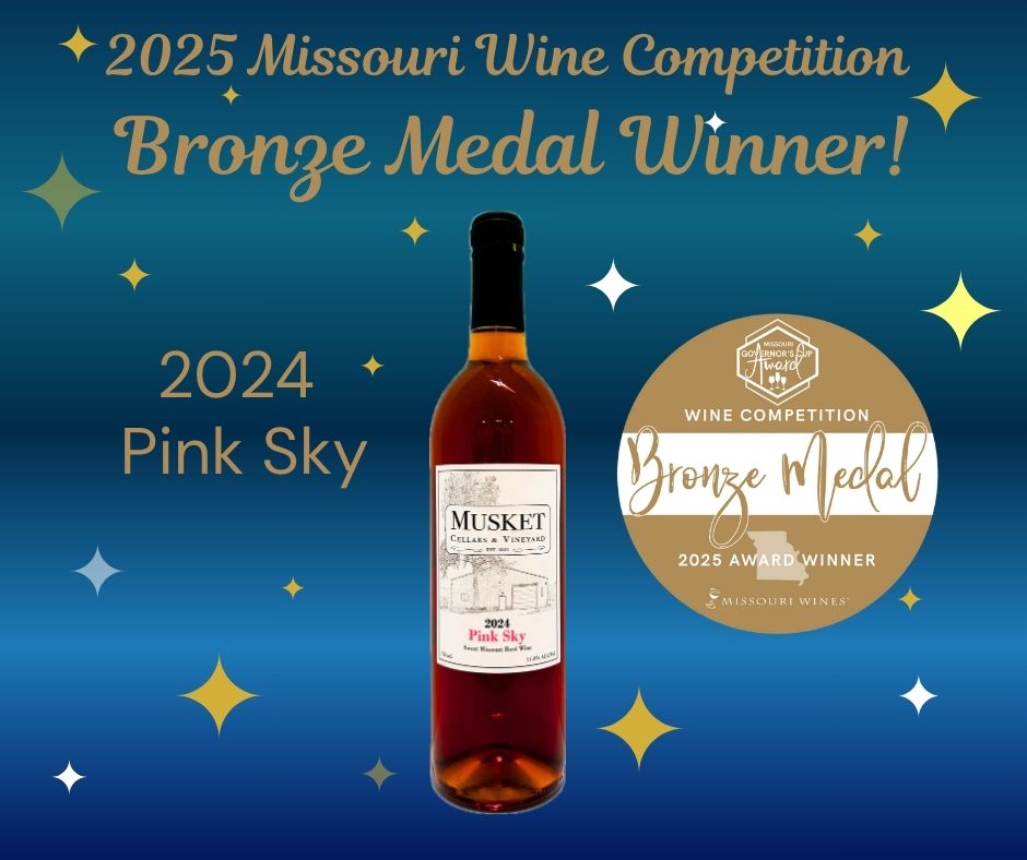 Bronze Award Winners