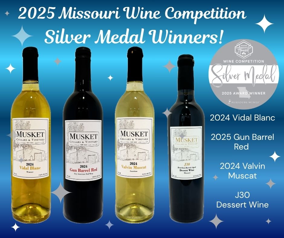 Silver Award Winners