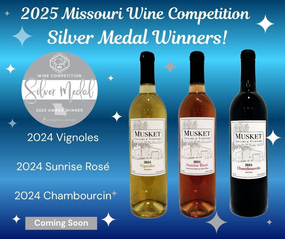 Silver Award Winners